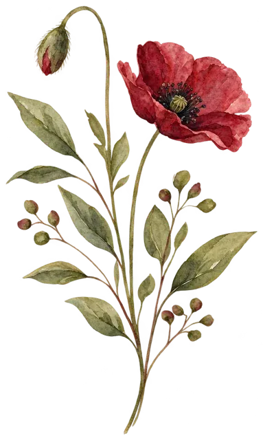 Asset botanica.webp
